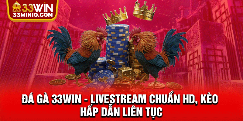 Đá Gà 33WIN - Livestream Chuẩn HD, Kèo Hấp Dẫn Liên Tục % Đá gà 33WIN